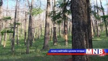  Тарьсан ойгоо өмчлөн авч болно 