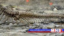 Чулуужсан ясны худалдаачин хэргээ хүлээжээ