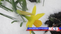 Шинэ сарын шинж: Гуравдугаар сарын тэнгэр, цаг агаарын шинж төлөв 