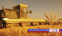 Завхан аймагт халтар арвайг гар аргаар тарьдаг 