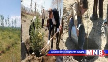 Ногоон байгууламжуудыг нэмэгдүүлнэ 