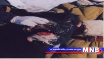  3016 үхрийг устгаад байна 