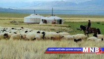 Монгол малчин айлын зуны нэг өдөр