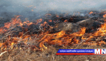 Зургаан газар түймэртэй байна 