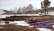 Ерөнхийлөгч хууль бус мод бэлтгэлтэй тэмцэнэ