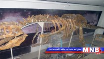 Ховор олдворыг сэргээн засварлалаа