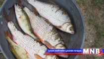 Хориотой хугацаанд загасчилбал 8-34 мянган төгрөгөөр торгоно
