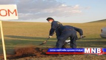 Мал, амьтны боом өвчинтэй хэрхэн тэмцэх вэ? 