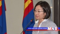 Хэвлэлийн эрх чөлөөний тухай хуулийн шинэчилсэн найруулгын төслийн талаар хэлэлцүүлэг өрнүүллээ
