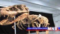 “Батаар” маркийг өнөөдөр танилцуулна 