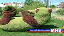 Цэцэрлэгт хүрээлэн дэх сонирхолтой бүтээлүүд 