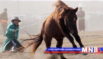 “Адуучин-2014” наадам болно