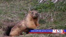 Сант суманд тогтоосон хөл хориог маргааш цуцлана