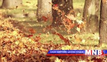 Навчны нулимс, цасны баяслыг “мэдрэхүй” /фото нийтлэл/