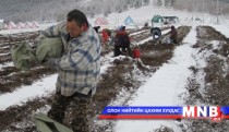 Залуус ургац хураалтад идэвхтэй оролцож байна