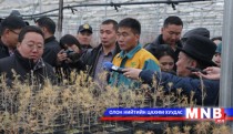 National Tree Planting Day Marked in Mongolia