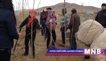 Мод тарих өдрөөр нийслэлийн хэмжээнд 61 мянга гаруй мод, бут, сөөг тарьжээ