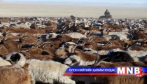 Увс аймгийн зарим малчин Ховд аймагт отор хийнэ