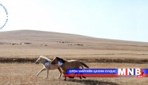 Бэсрэг наадамд 108 унага уралдлаа 