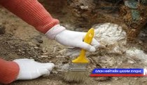 Палеонтологийн салбарын мэргэжилтнүүдийг бэлтгэх хэрэгтэй гэв