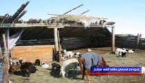 Өвөлжилтийн бэлтгэл ажлын талаар мэдээлэл сонсов