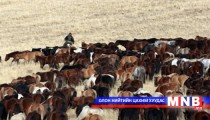 Дотоодын дүрвэгсэд нэмэгдэж байна