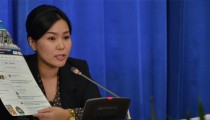 Хууль тогтоох дээд байгууллагын нэрийг хууль бусаар ашиглажээ
