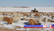 Залуу малчид сургалтанд хамрагдлаа