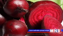 Урт наслахыг хүсвэл...