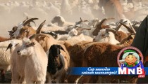 Хаврын өнгө