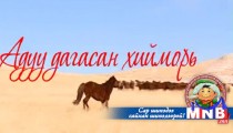 Адуу дагасан хийморь 