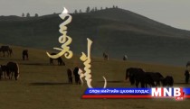 Хамар цагаан