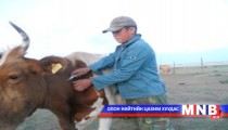 Тарилгын ажлыг сайжруулах шаардлагатай байна