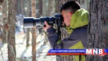 Туул голын сав газрын шувуудын төрх, аж байдал