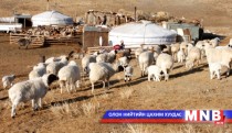 Очирваанийн хавар