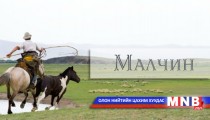 Малын им  тамга