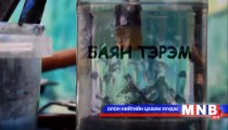 Баян тэрэм