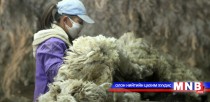 Цэвэрлэх байгууламжид холбогдоогүй арьс шир, ноос угаах үйлдвэрүүдийг эхэлж нүүлгэнэ