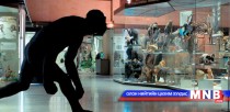 Олон улсын музейн өдөр тохиож байна