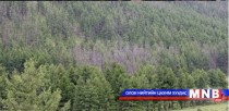 Ойн бүсэд гарсан хоёр түймрийг унтраалаа
