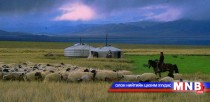 Малын индексжүүлсэн даатгал