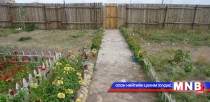 20 гаруй жилийн хугацаанд хашаагаа ойжуулж, усан оргилуур зэргээр тохижуулжээ 