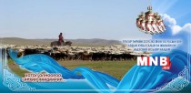 Залуу малчид хөтөлбөрт хамрагдаж байна