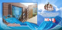 Улаанбаатар хотын 16 байршилд 3D зураг зурна 