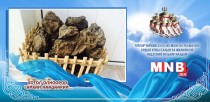 Аргалын гал