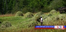Зургаан дүүргийн хэмжээнд 270 сая төгрөгийн өвс, тэжээл бэлтгэх шаардлагатай