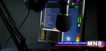 Хүн чулууны анагаах увидас