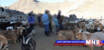 Малчид илүүдэл жинтэй байна гэв