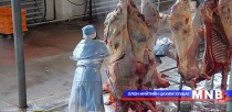 Хоёр хөрш рүү мах экспортлох ажил удаашралтай байна