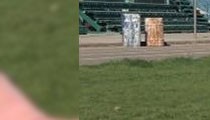 Г.Цогтгэрэл: Би “Рио-2016” олимпоос эх орондоо медаль өвөртлөн ирэх зорилго тээсэн